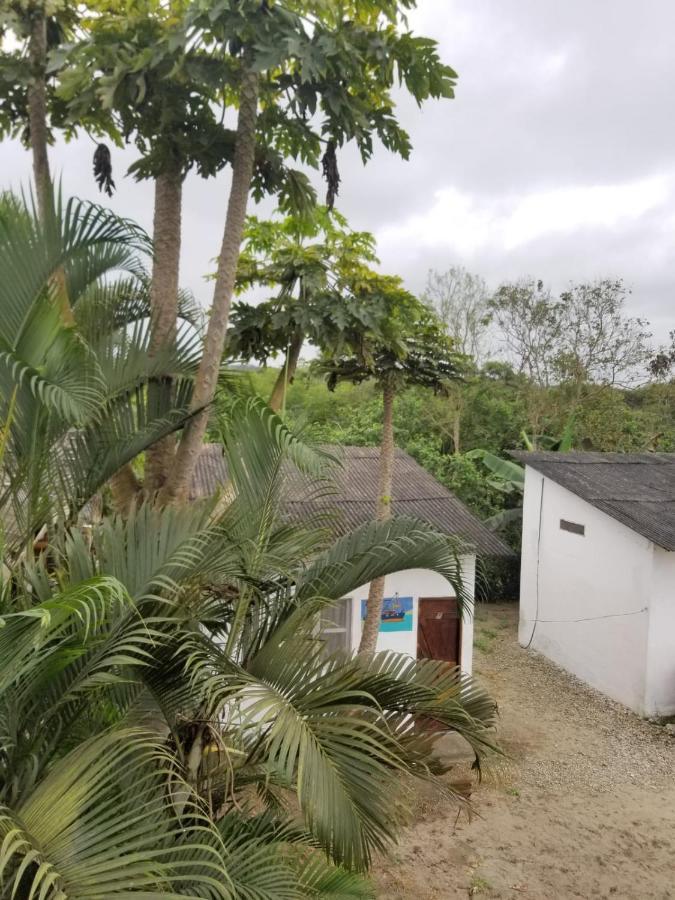 Montanita Garden Hostal ภายนอก รูปภาพ